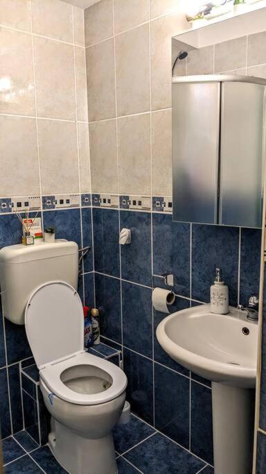 Cosy One Bedroom Flat With Free Parking & Wifi Клуж-Напока Екстер'єр фото